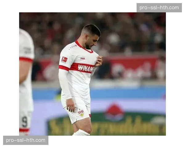 霍芬海姆1-2遭达姆施塔特绝杀，保级形势堪忧